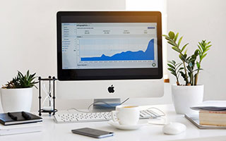 波斯尼亚备战欧预赛，备受关注